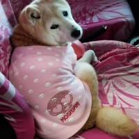 クリンへの想いは尽きなくて・・・317