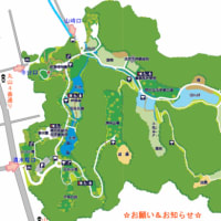 鎌倉の中央公園と台峯緑地に行こう！ - あんみつとシナモン