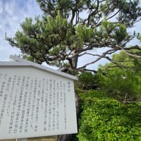 道後徒然