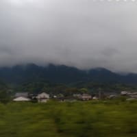 ゆふいんの森号（大分県の由布院駅〜福岡市の博多駅）という観光列車はとてもオススメ！