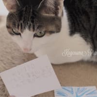お手紙♪