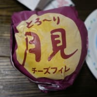 ソフトテニスの個人戦がありました　　晩ご飯はケンタッキーの月見バーガー