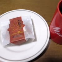 ネギ坊主に蜜蜂
