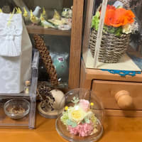 みなさんありがとうでス⭐︎