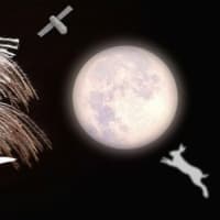 今年の中秋の名月は満月