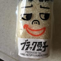 初挑戦！！黒豆ご飯・花の寄せ植え🌸