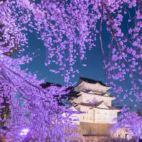 トランプ関税の是非