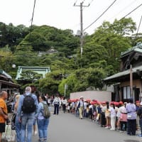 鎌倉　大仏と長谷寺参拝です。