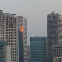 第一ホテル東京　鉄板焼き「一徹」でディナー