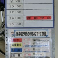 ＷBＧＴ℃数値で「原則中止」ですが「テニス」をしました