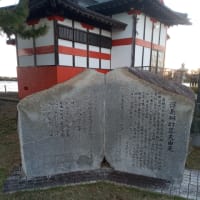 多々良沼釣行