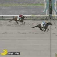 プロミストジーン新馬勝ち