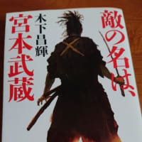 【最近の読書】宮本武蔵、虚空の旅人
