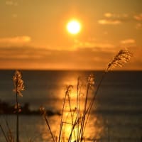 今日の夕日