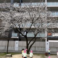 今年度もあと少し…