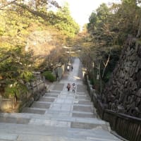 金比羅参り