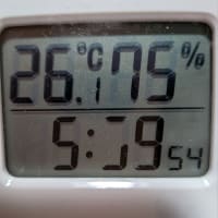 断捨離は、難しい