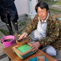 江戸前海苔づくり体験記①-木更津市