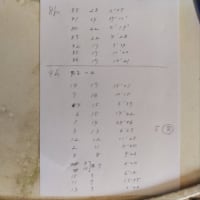 指宿温泉ＭＴＢ８時間耐久レース