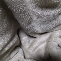 あたたかい