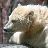 10時半を過ぎるとまったり