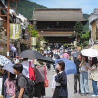 長野善光寺参りに行って来ました