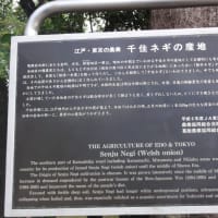 境内には弁天様のお使いとして人々の願をい聴き届ける白蛇「撫蛇様」がいる葛西神社！