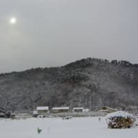 兎年、初積雪です。
