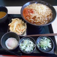 足柄上郡　ゆで太郎　大井足柄店　朝そば大盛り（温玉）、クーポンカレー