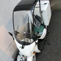 ベンリィ110ルーフ付きを購入 結局サベージに戻った ベンリィ110ルーフ付きを購入 結局サベージに戻った