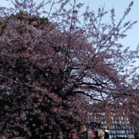 今週のフリートーク(3月4週)