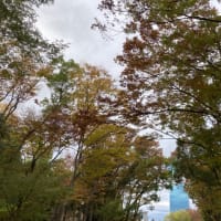 歴史リアル謎解きゲームとAIR TRACK