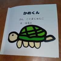 かめくん