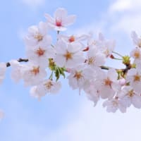 “転移する「がん」”