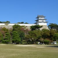 秋の陣中茶会！