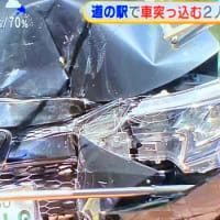 山梨の道の駅に馬鹿ジジイが普通乗用車で突っ込んで客に怪我をさせる