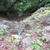 沖縄戦から８０年目の慰霊の日