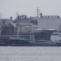 ❷潮風いざなう初夏の名古屋港と藤前干潟