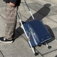 素晴らしいやん