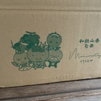 梅干し作りの手伝いです。