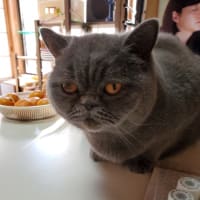 友人のこと