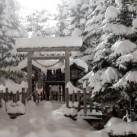 札幌・街の一コマ　：　大雪
