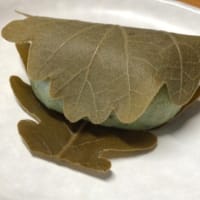 gooブログからの移行どっちにする？Ameba／はてな