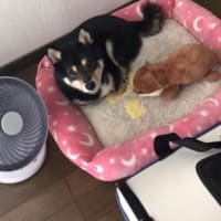 いざ独りになってみると