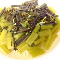 わらび　ふき　厚揚げの煮物　⭐︎⭐︎⭐︎