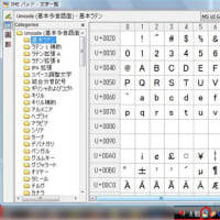 [備忘用] CopyRight の © の入力方法
