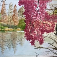 井の頭公園のメタセコイヤともみじ