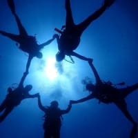 海からのお便り(^^)/