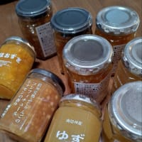音楽合宿を終えて