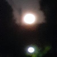 中秋の名月
